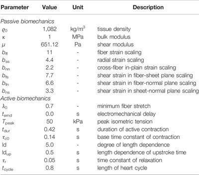 Dyssynchronous Left Ventricular Activation is Insufficient for the Breakdown of Wringing Rotation